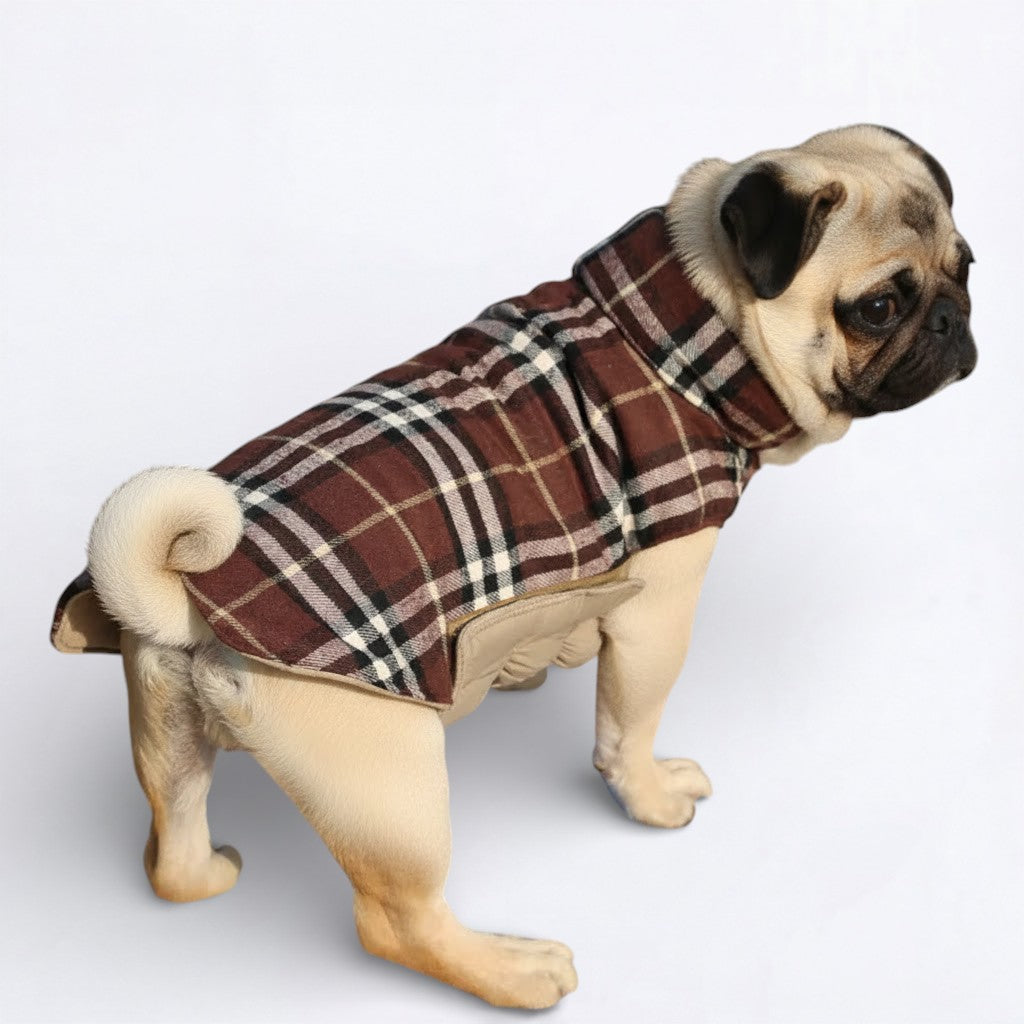 PlaidPaw-Pug-Winter-Jacket.jpg