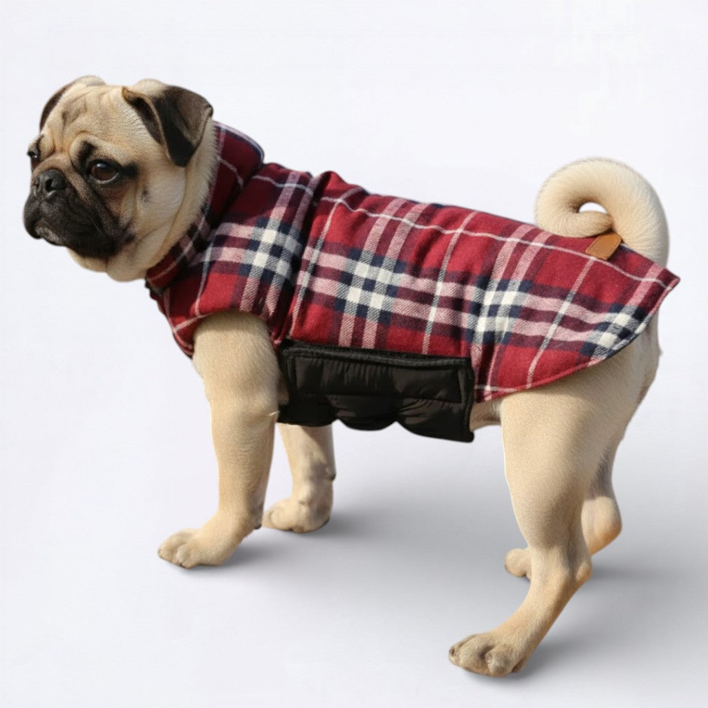 PlaidPaw-Pug-Winter-Jacket.jpg