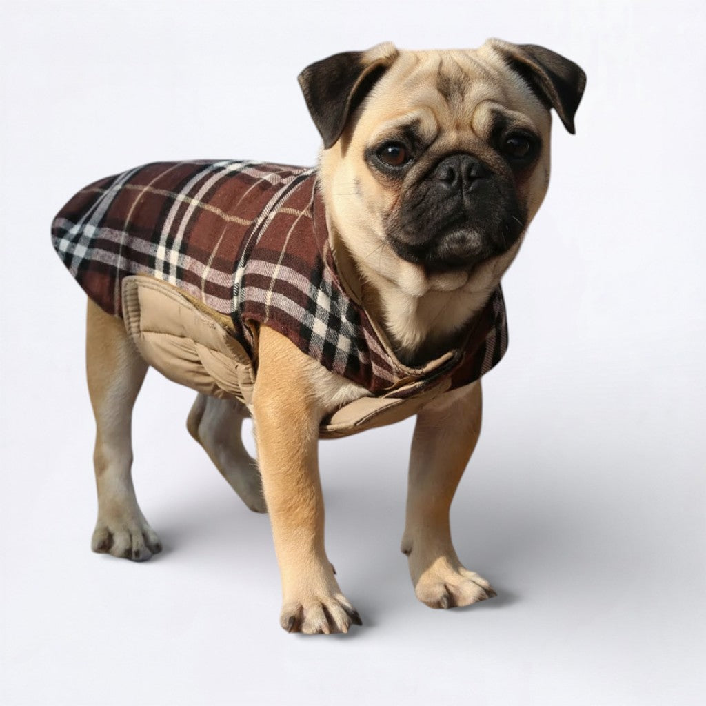 PlaidPaw-Pug-Winter-Jacket.jpg
