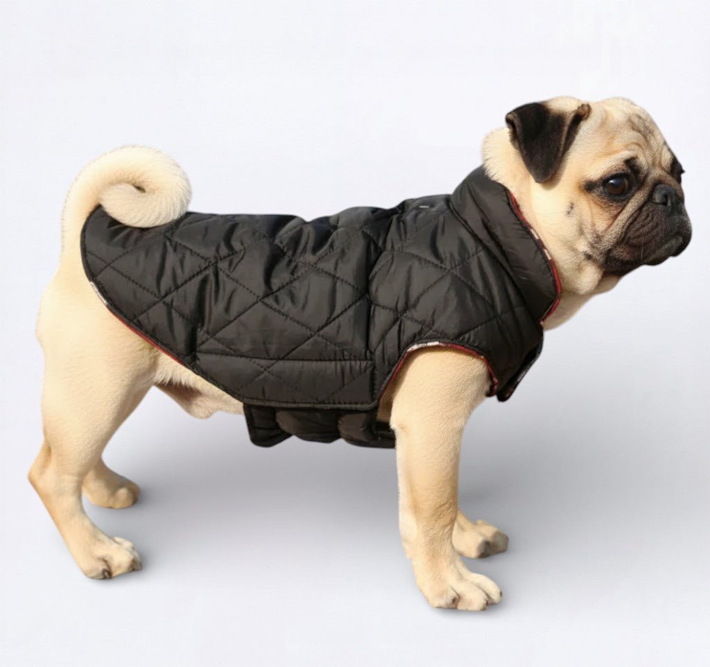 PlaidPaw-Pug-Winter-Jacket.jpg