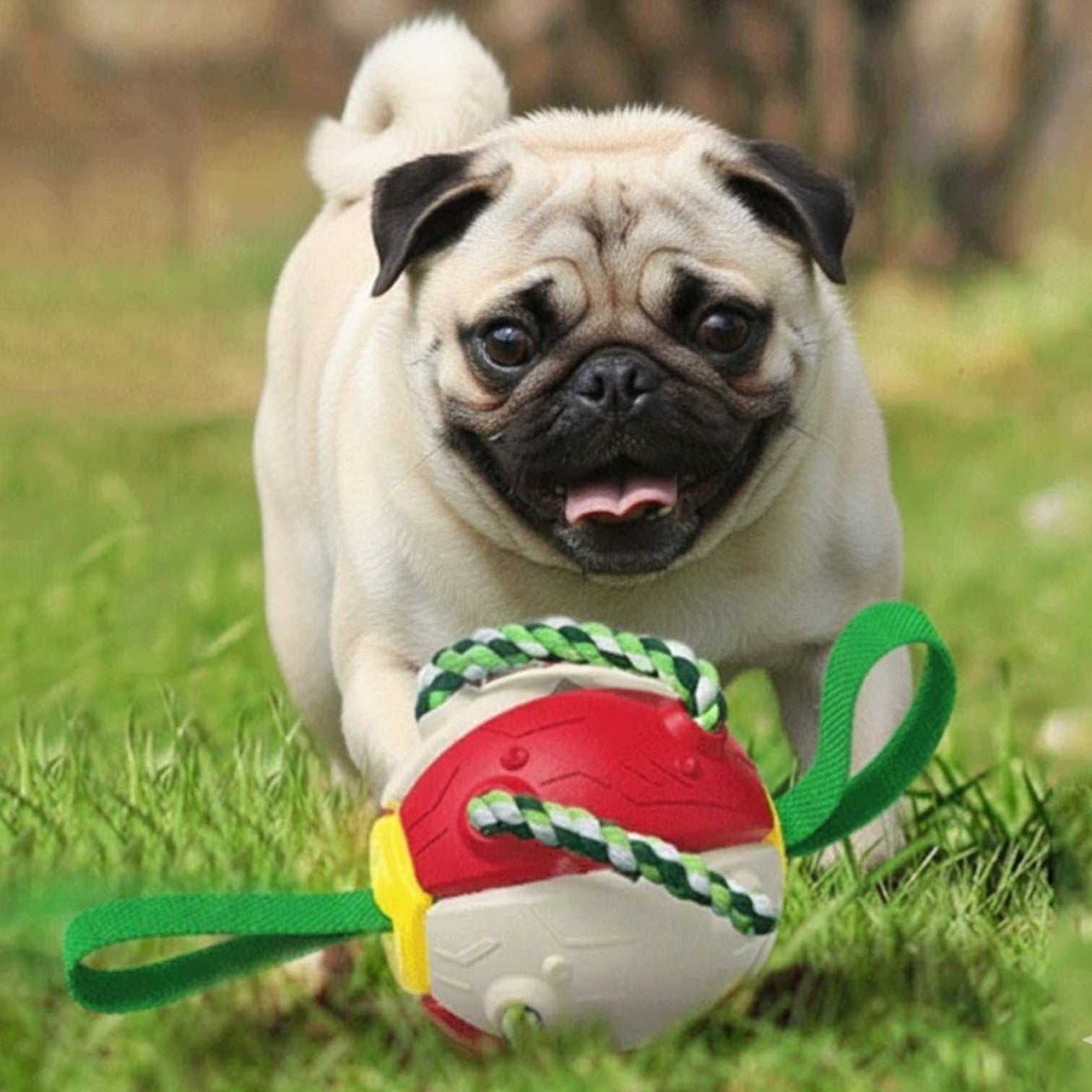 PlayRoo-Pug-Soccer-Ball-with-Tabs.jpg