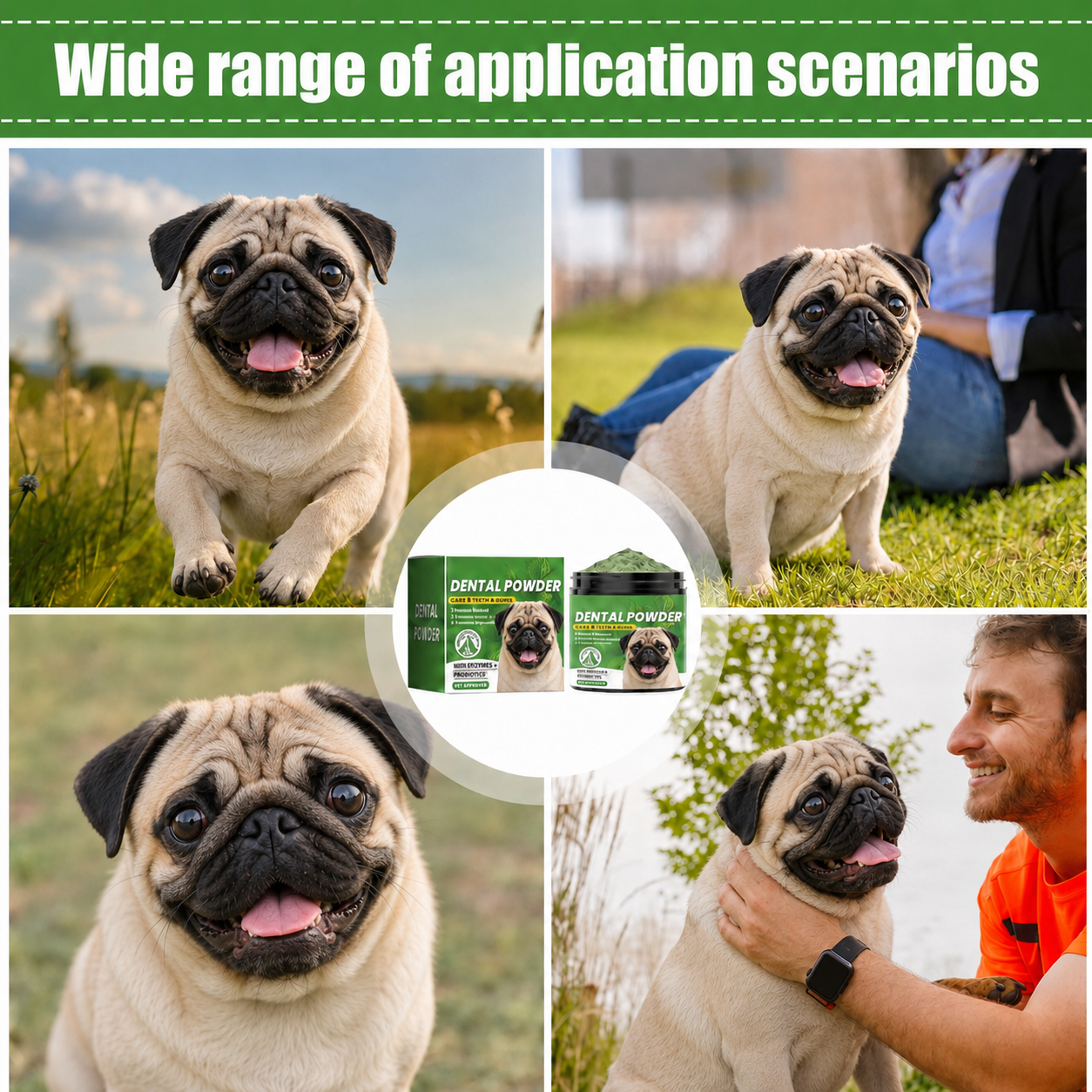 PowFresh-Pug-Dental-Powder.jpg