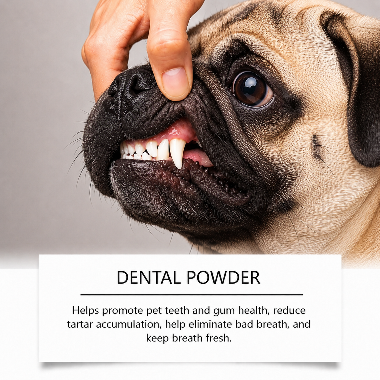 PowFresh-Pug-Dental-Powder.jpg