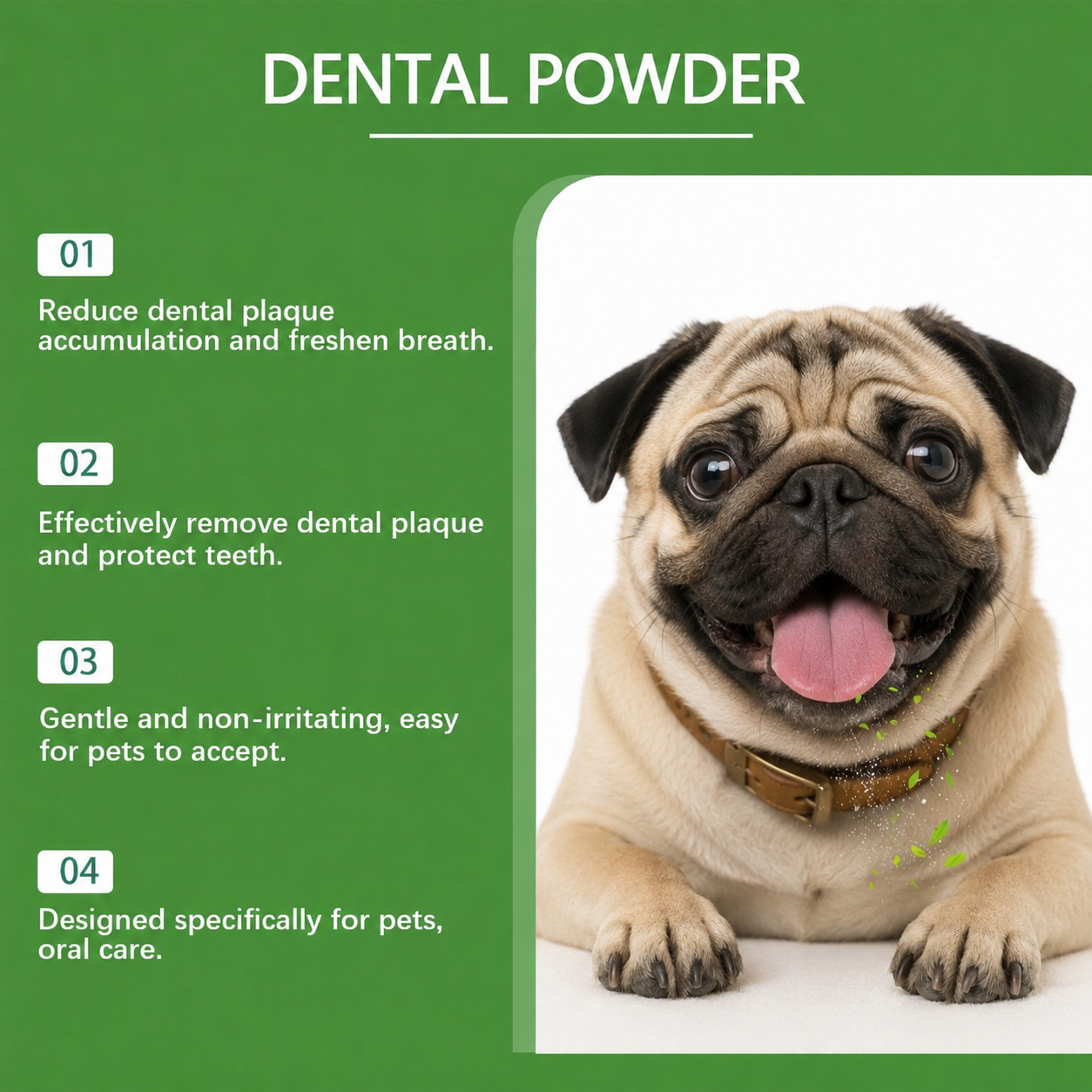 PowFresh-Pug-Dental-Powder.jpg