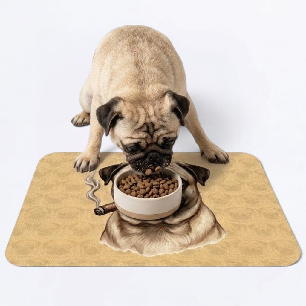 Coco - Premium Leather Dog Food Mat