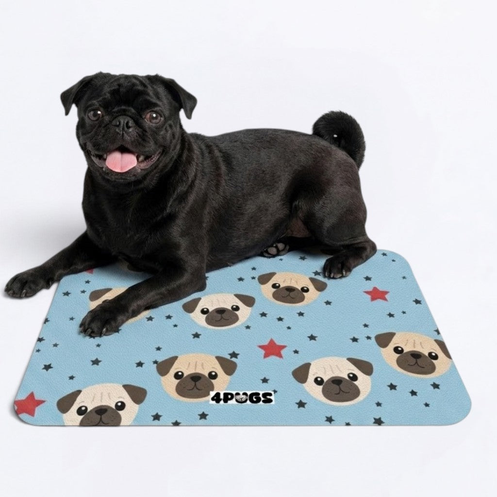 Diesel  - Premium Leather Dog Food Mat
