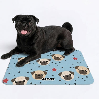 Diesel  - Premium Leather Dog Food Mat