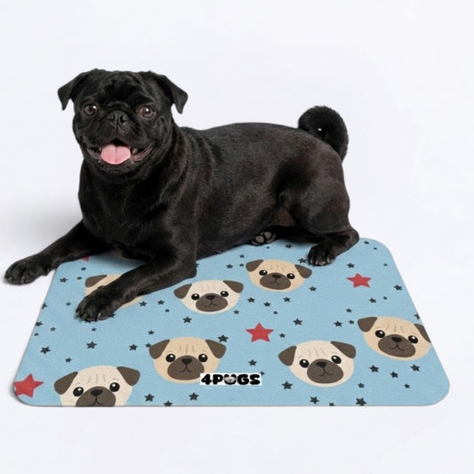 Diesel  - Premium Leather Dog Food Mat