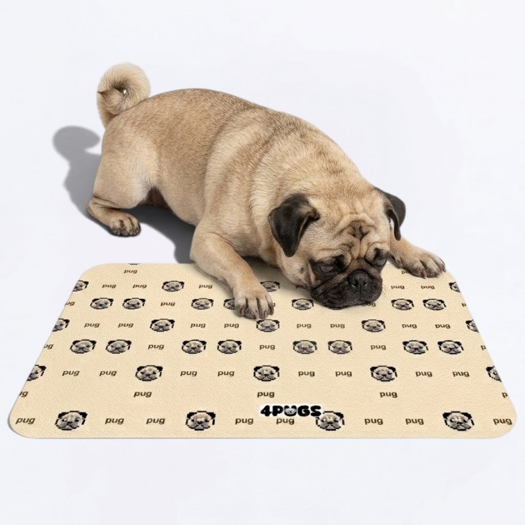 Odin  - Premium Leather Dog Food Mat