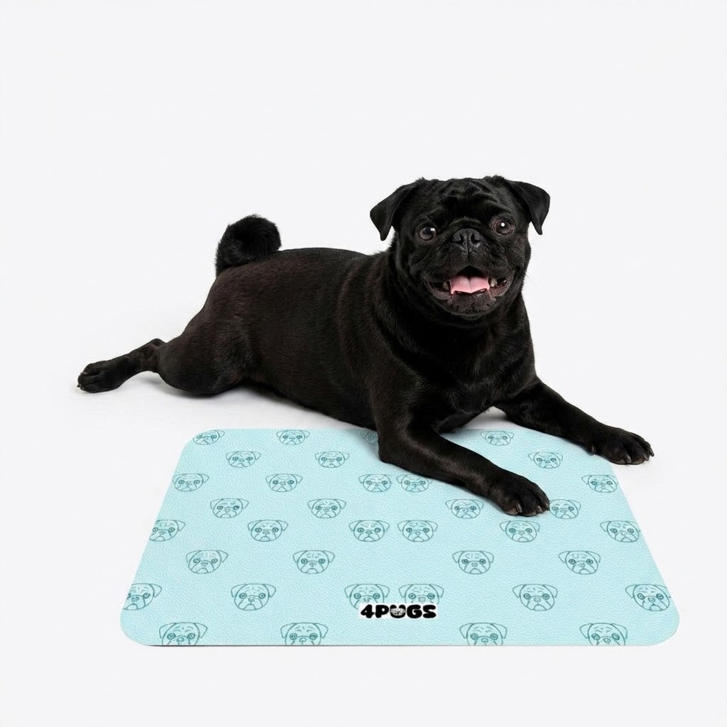 Bruno  - Premium Leather Dog Food Mat