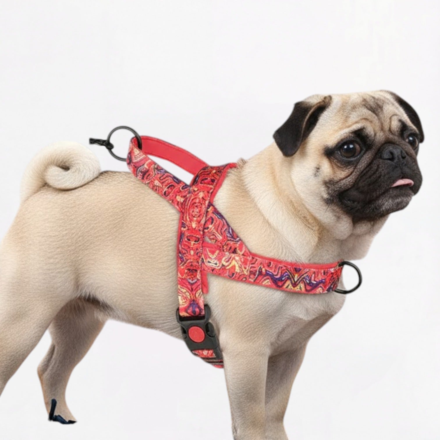 PrintPup-Pug-No-Pull-Harness.jpg