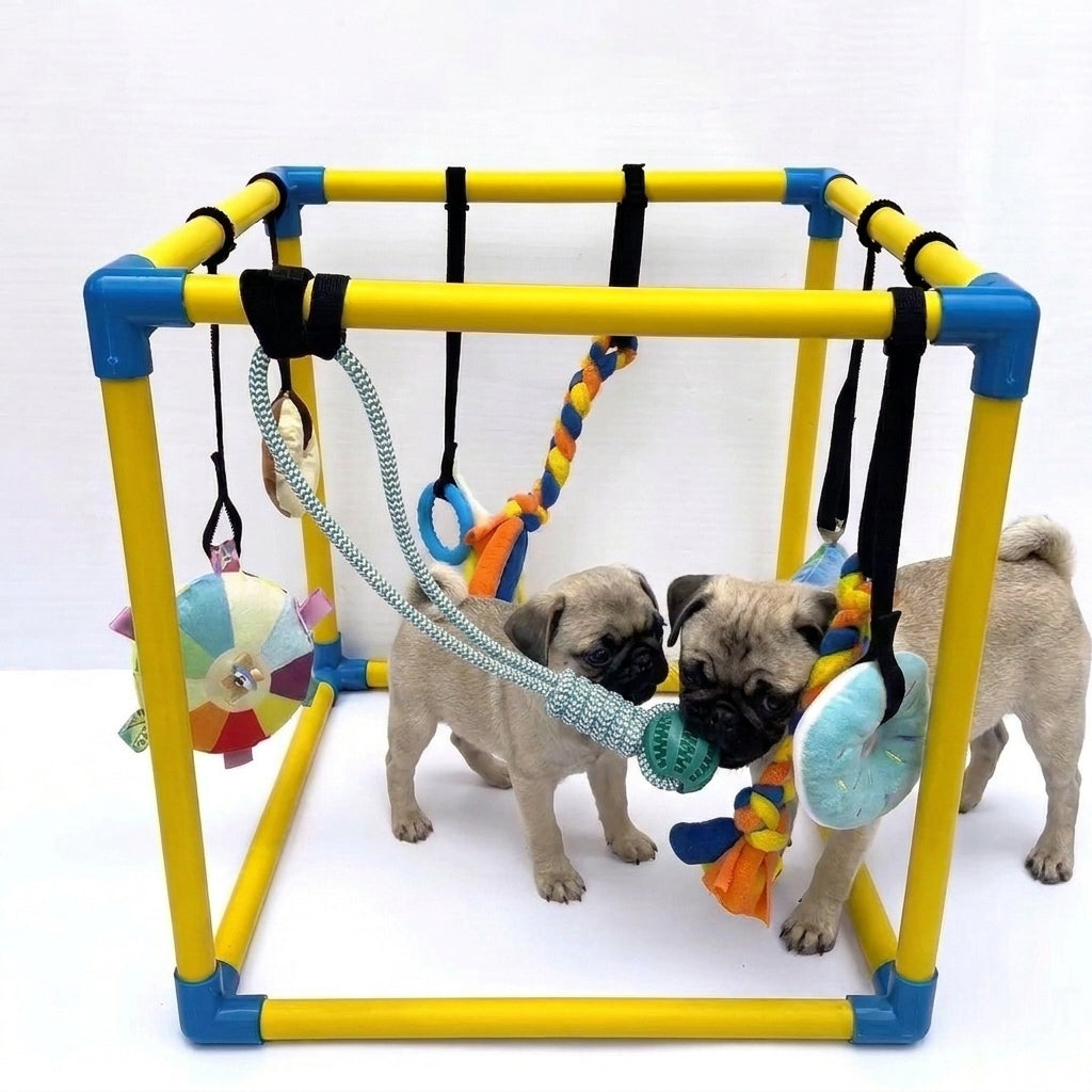 Pug-Puppy-Activity-Gym.jpg