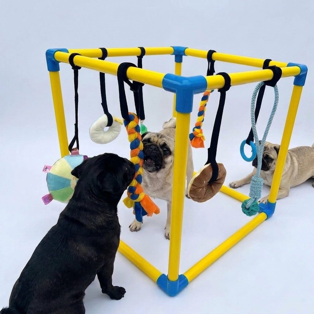 Pug-Puppy-Activity-Gym.jpg