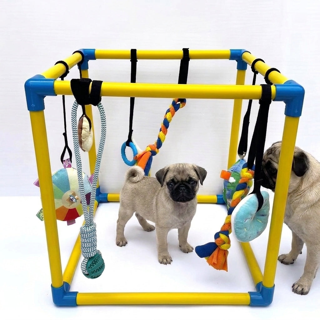 Pugs-Puppy-Activity-Gym.jpg
