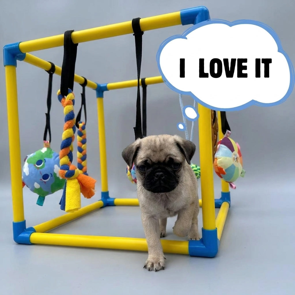 Pug-Puppy-Activity-Gym.jpg