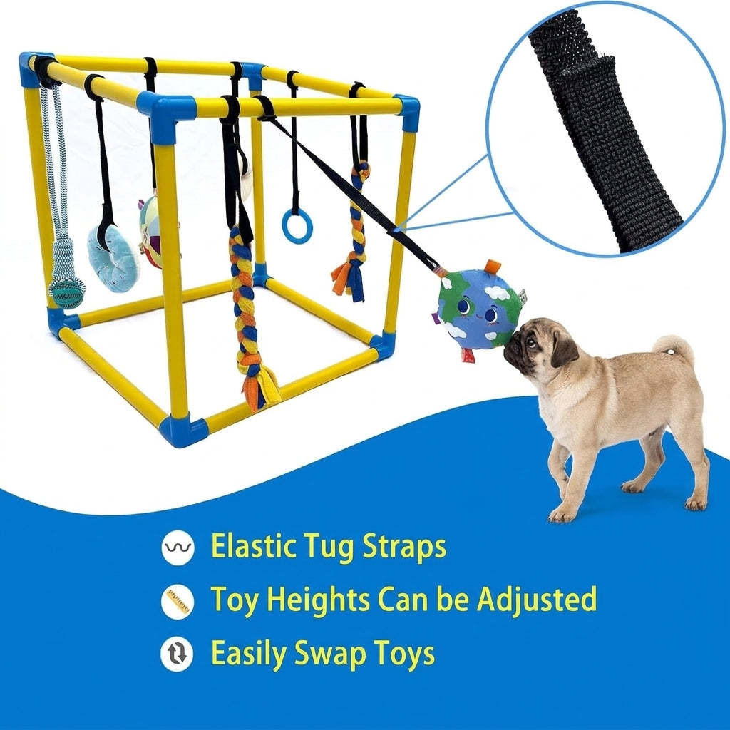 Pug-Puppy-Activity-Gym.jpg