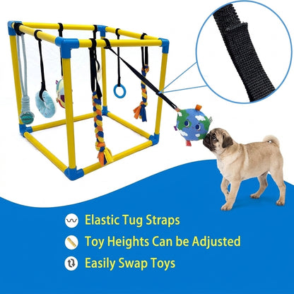 Pug-Puppy-Activity-Gym.jpg