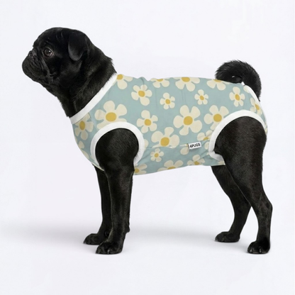 Kira - Pug Surgery Recovery Suit