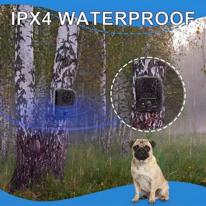 Pug-Ultrasonic-Anti-Barking.jpg