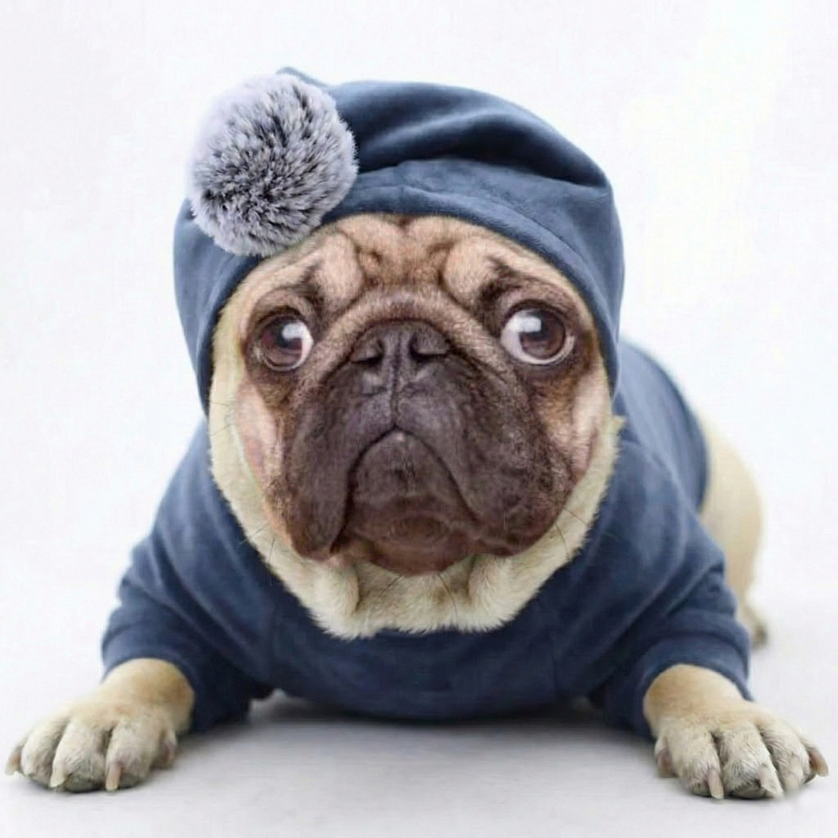 SnugPaw Pug Winter Jacket – Soft Velvet Hoodie with Pom-Pom Hat