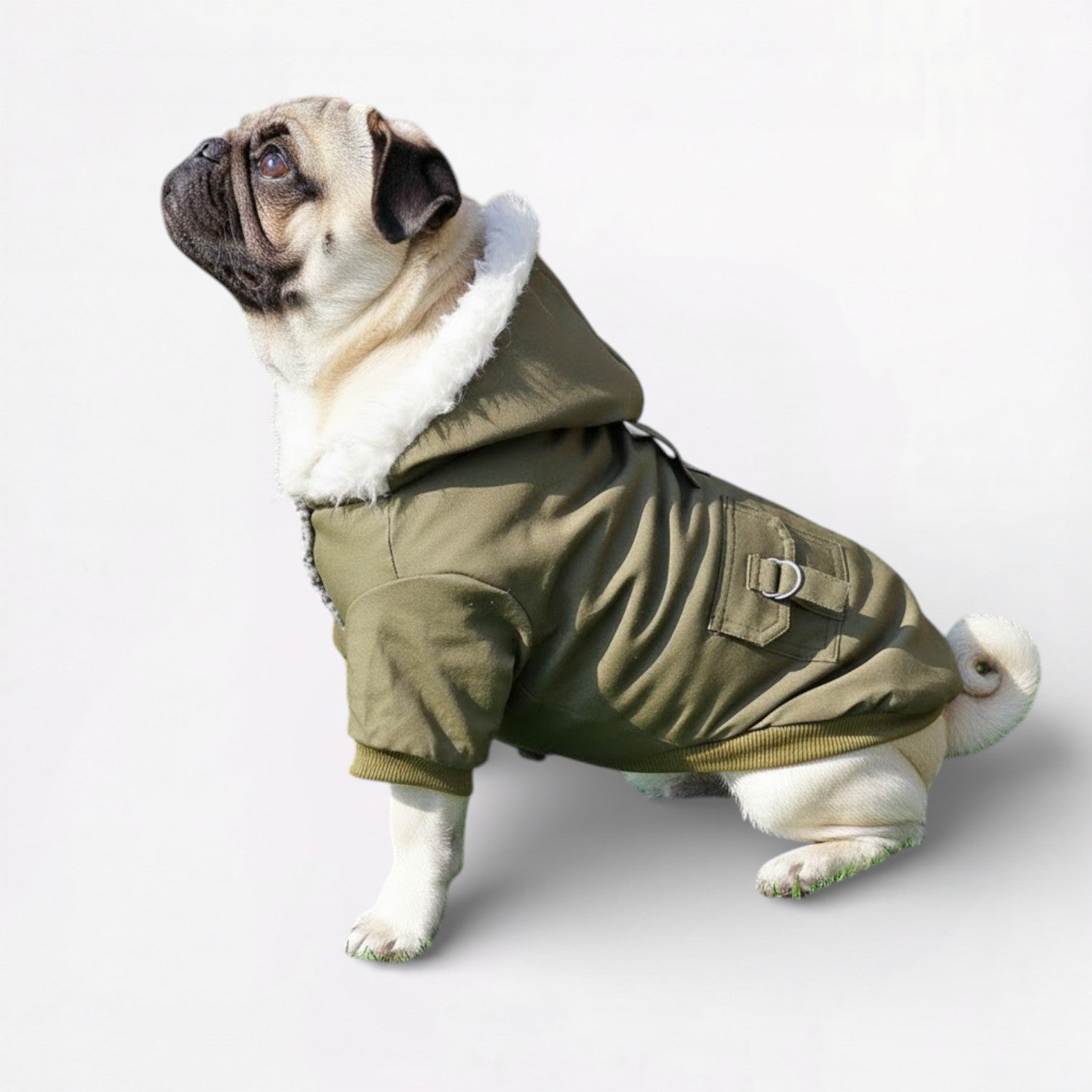 PugGuard-Pug-Windproof-Jacket.jpg