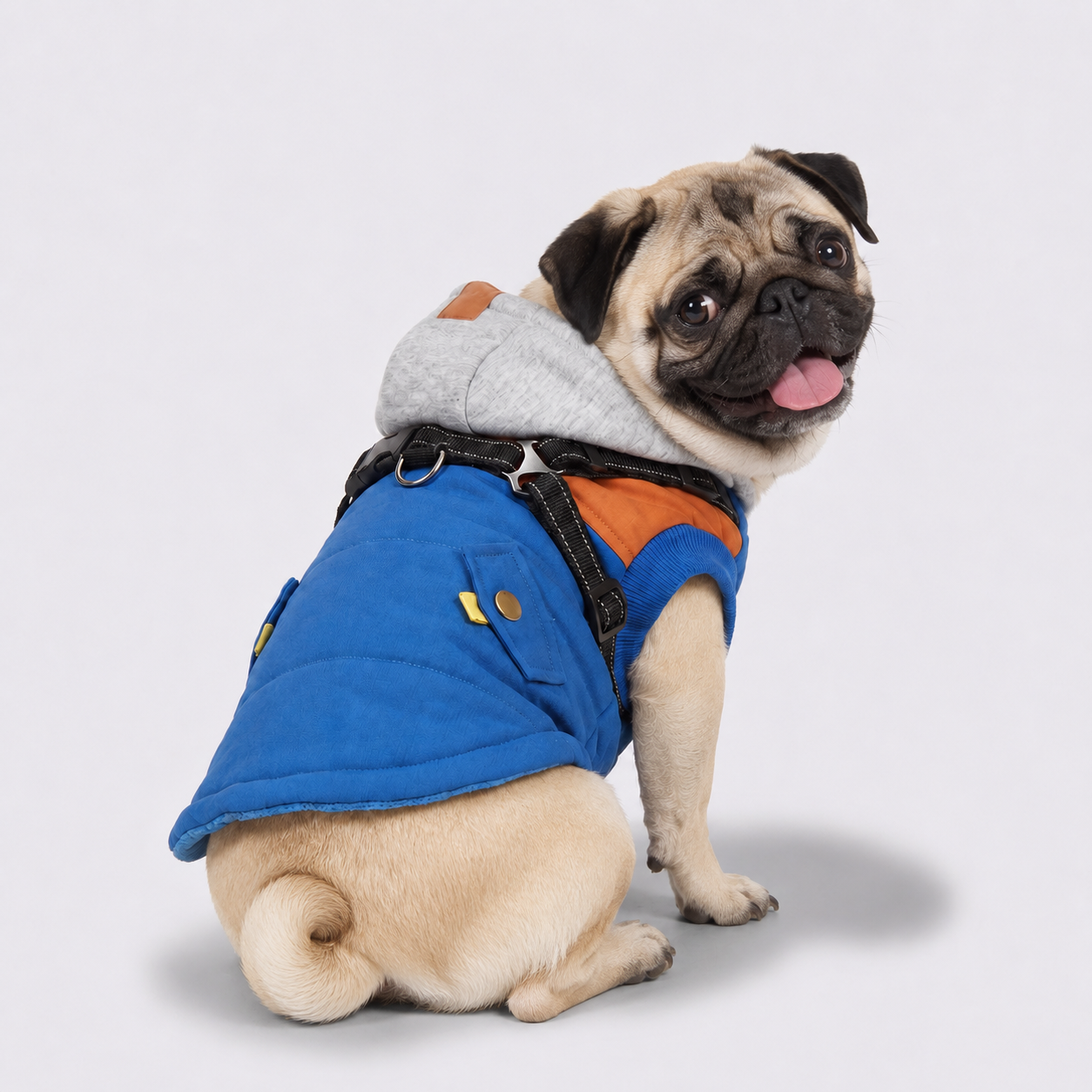 PugOra-Pug-Waterproof-Winter-Jacket.jpg