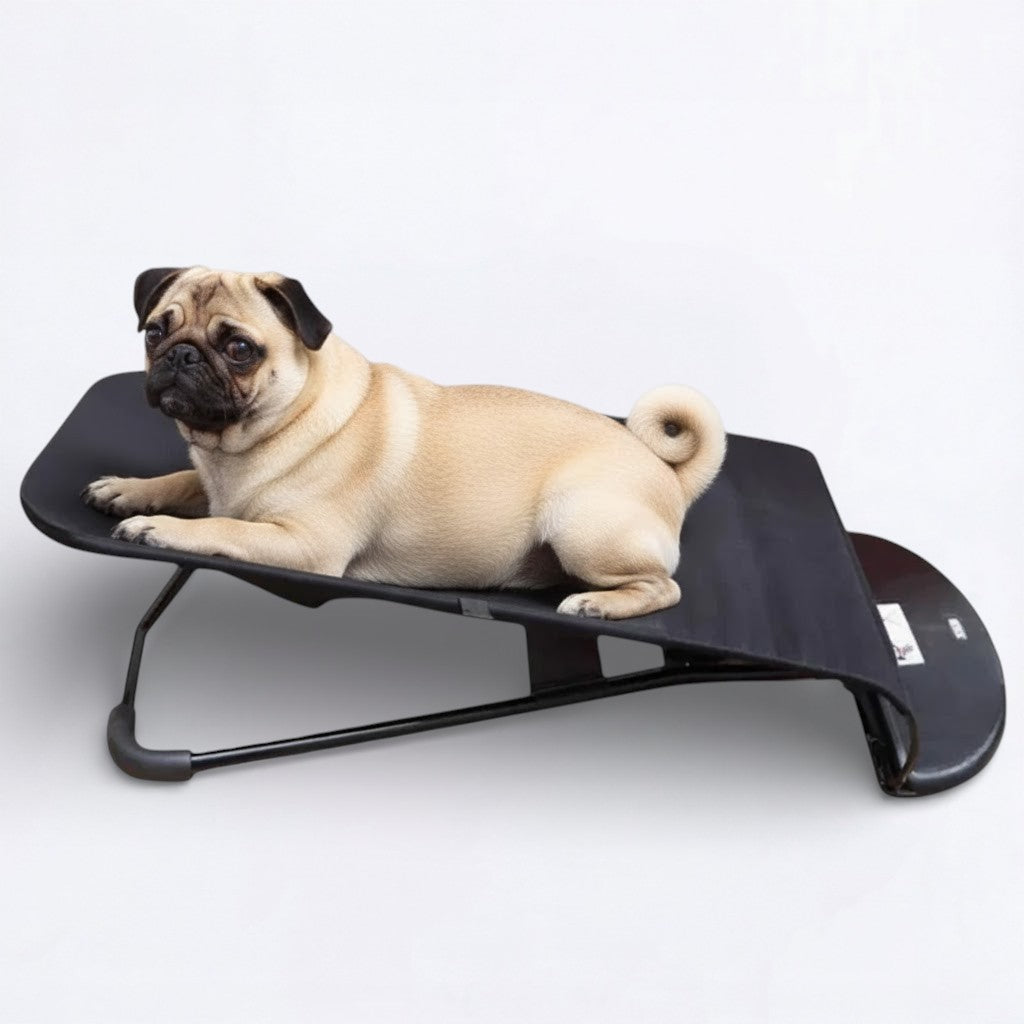 PugRock-Pug-Rocking-Chair.jpg