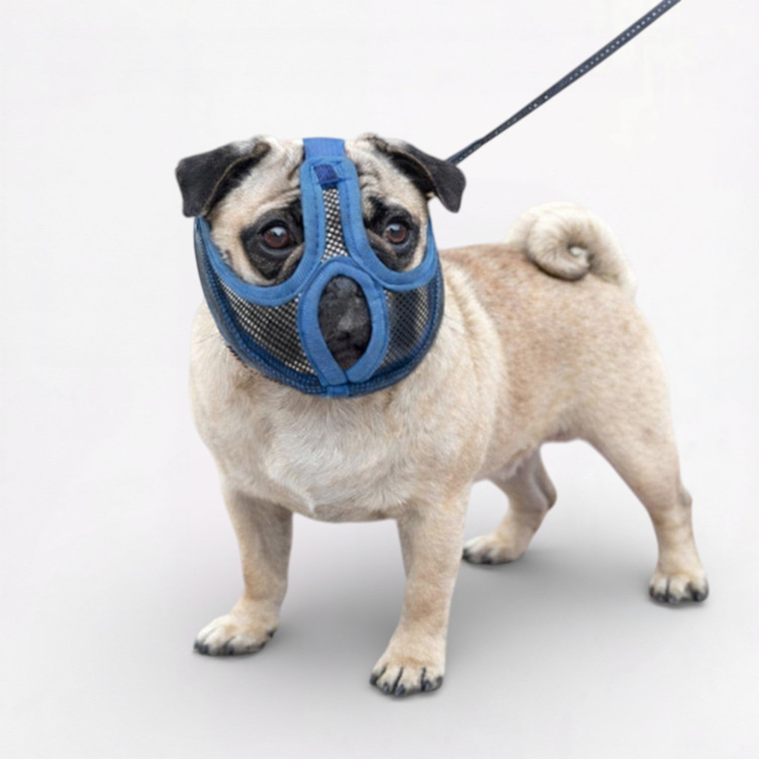 PugShield-Pug-Anti-Bite-Muzzle.jpg