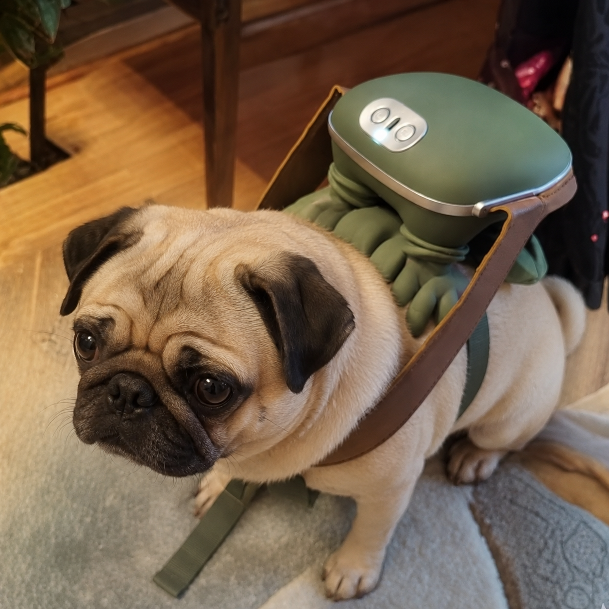 PugZen-Pug-Electric-Massager.jpg
