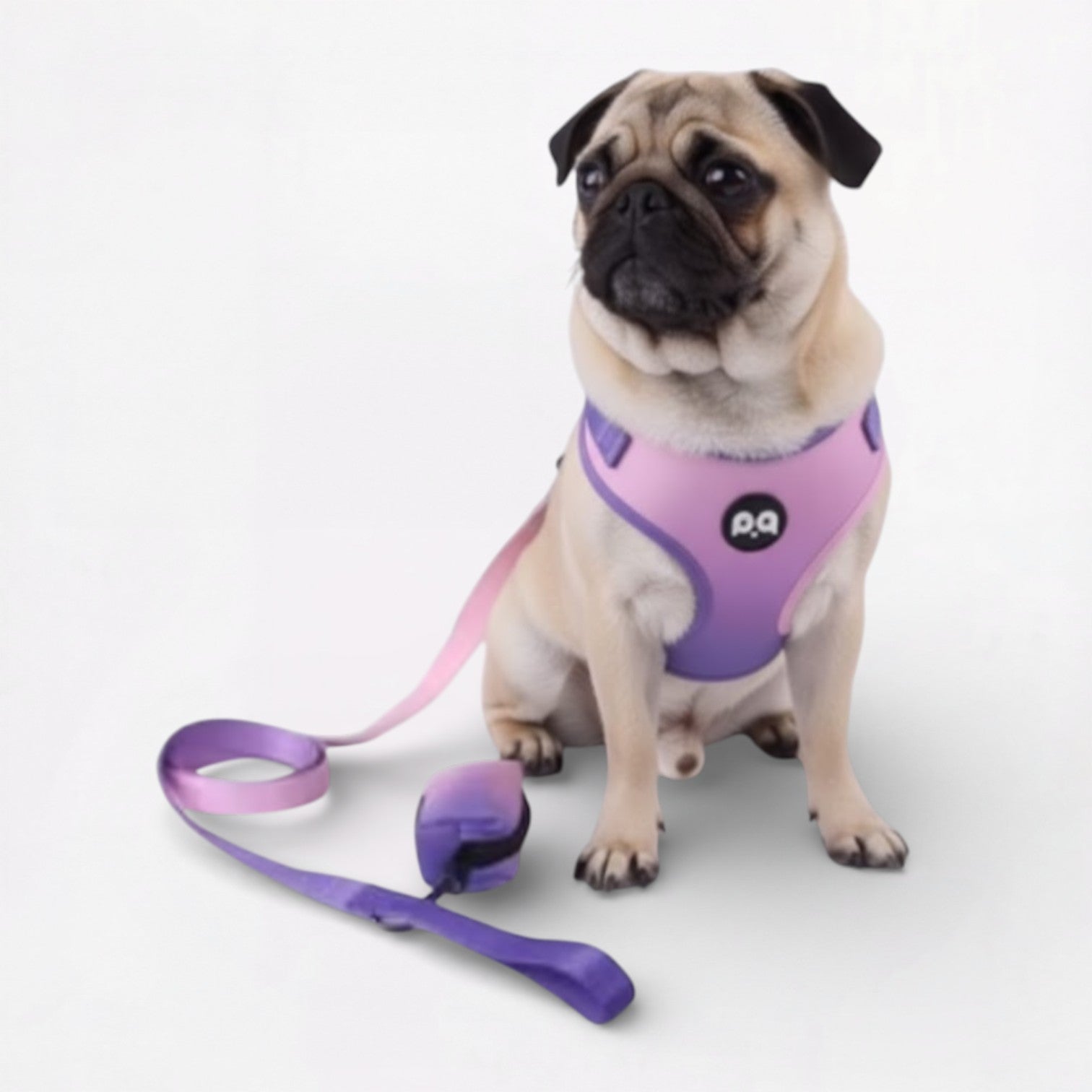 Pug-Adjustable-Harness-Leash-Set.jpg