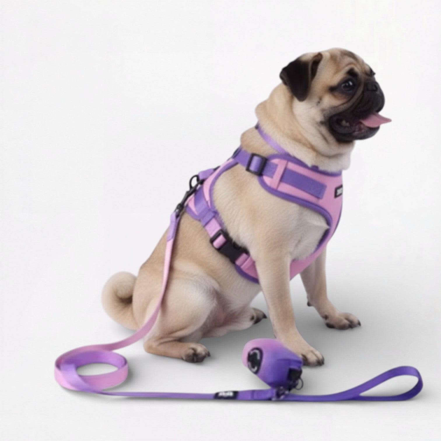 Pug-Adjustable-Harness-Leash-Set.jpg