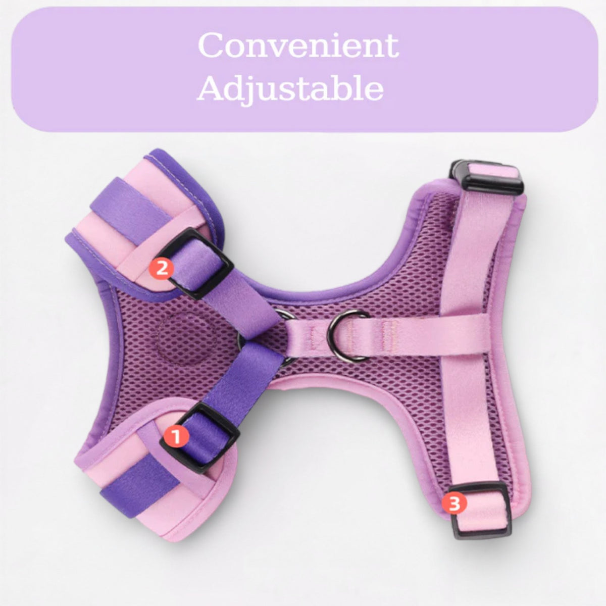 Pug-Adjustable-Harness-Leash-Set.jpg
