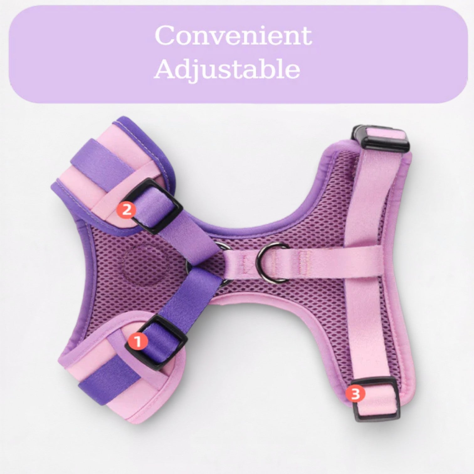 Pug-Adjustable-Harness-Leash-Set.jpg