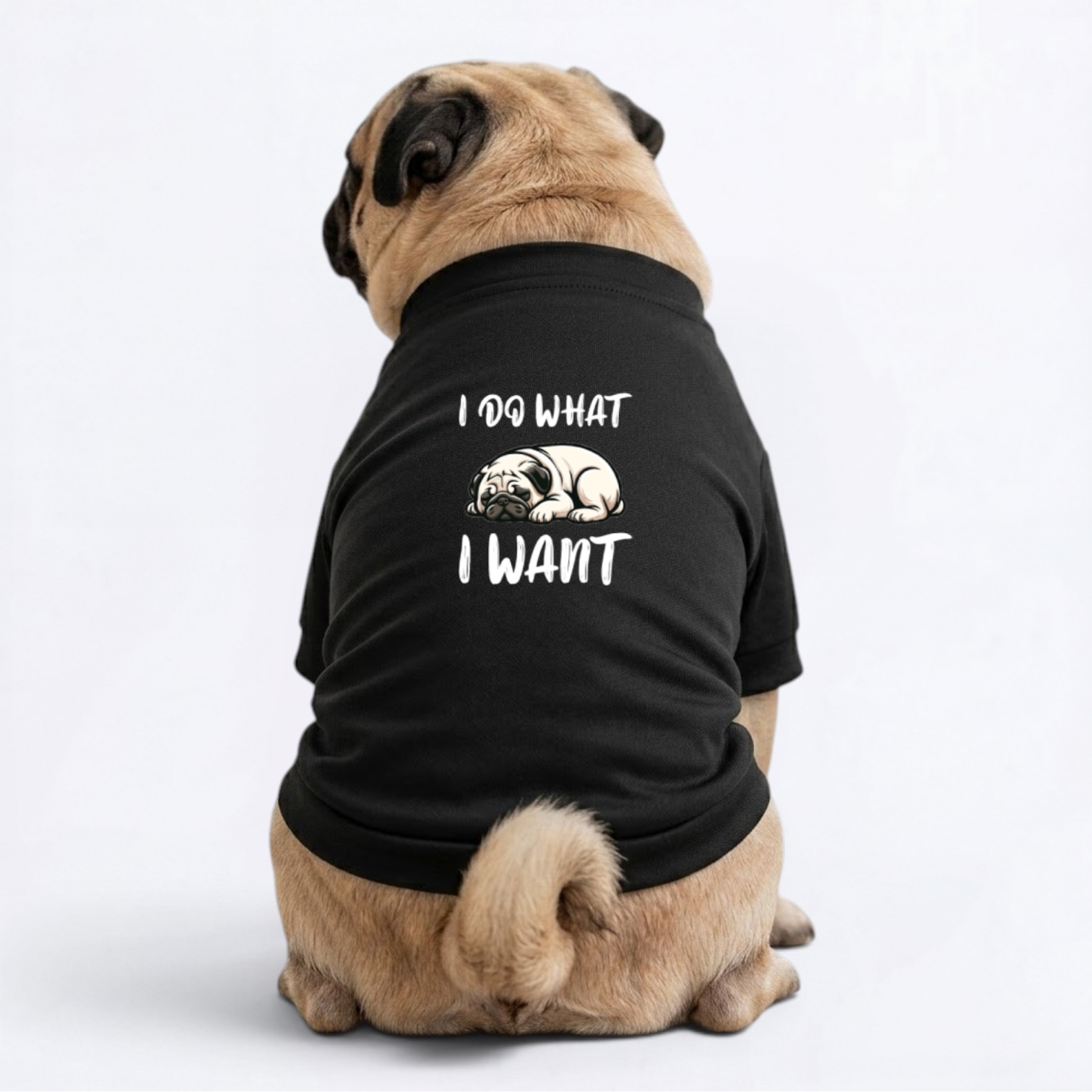 Juno  - Pug Cardigan Sweatshirt