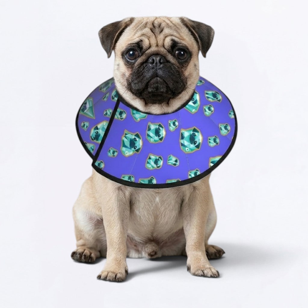 Daisy - Elizabethan Cone Collar Pug Fit