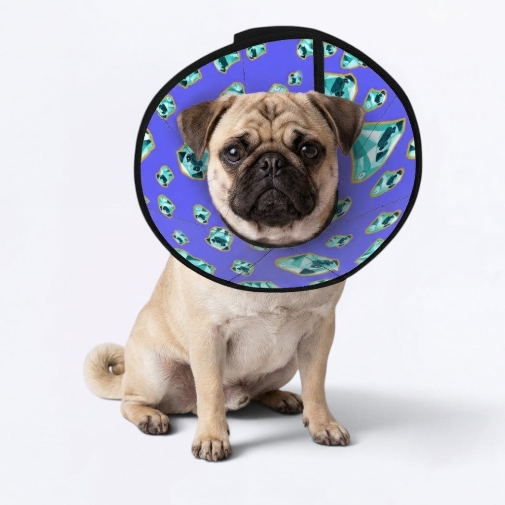 Daisy - Elizabethan Cone Collar Pug Fit