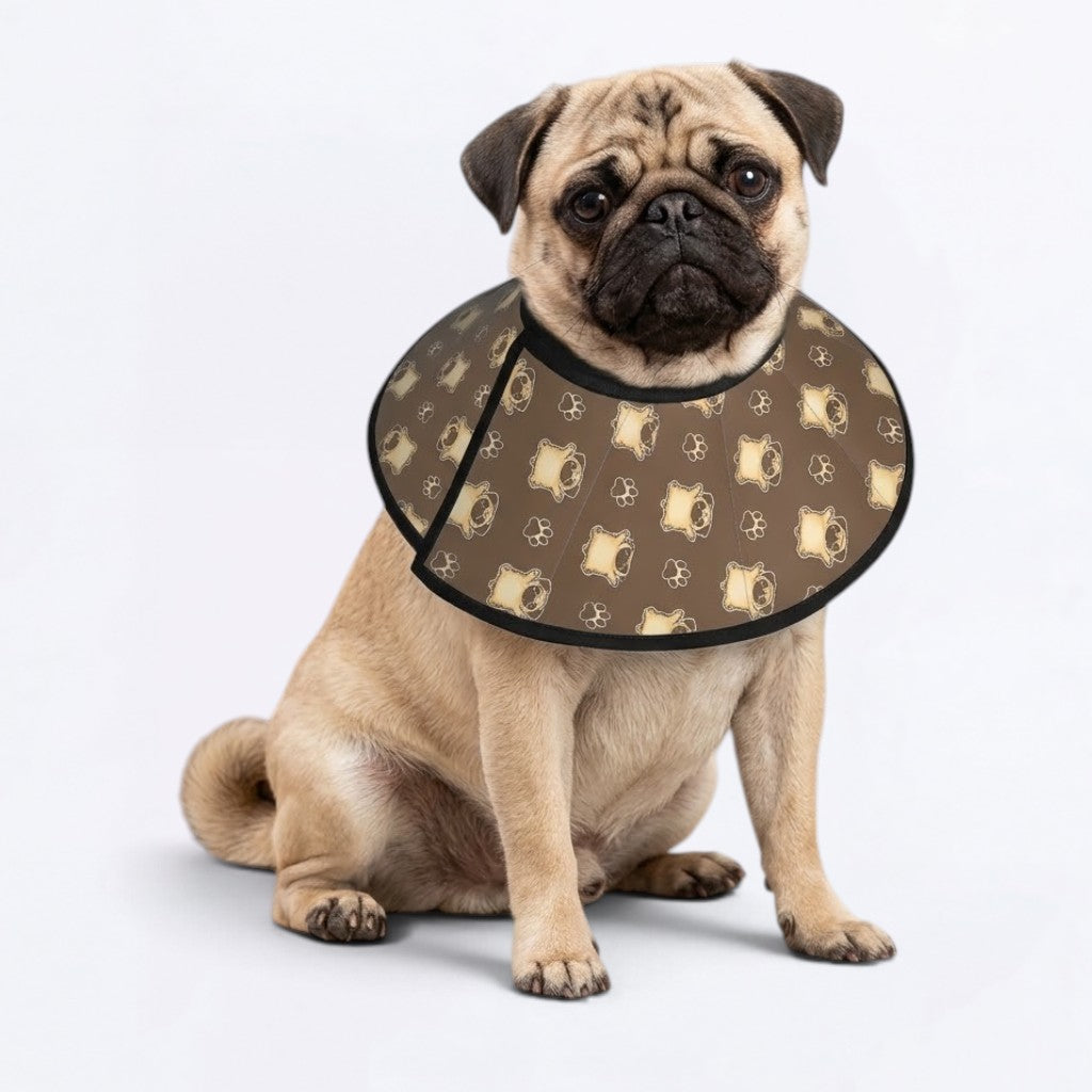 Zoey - Elizabethan Cone Collar Pug Fit