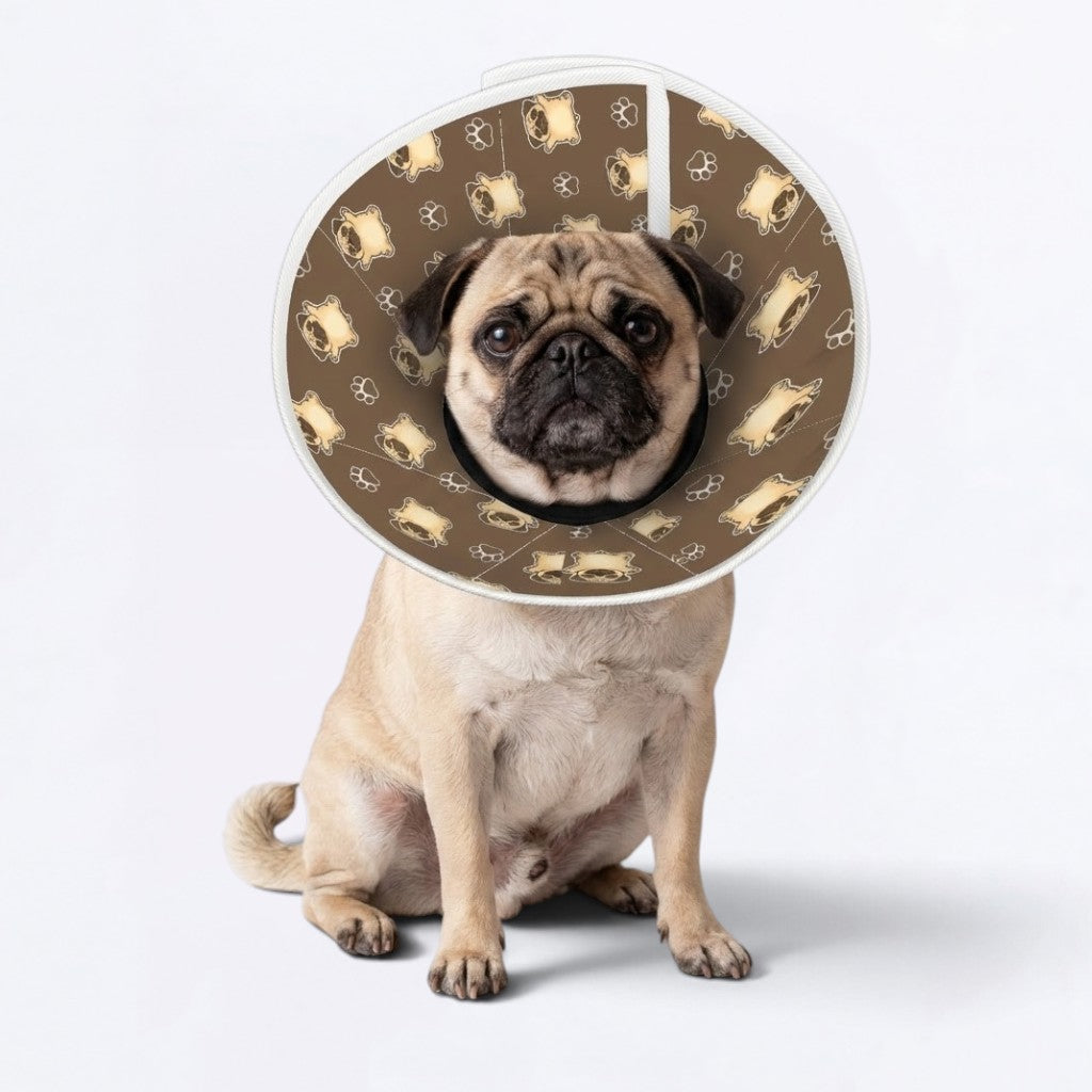 Zoey - Elizabethan Cone Collar Pug Fit