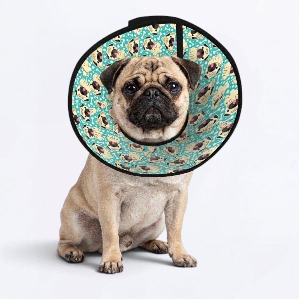Charlie - Elizabethan Cone Collar Pug Fit