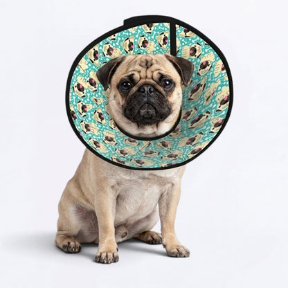 Charlie - Elizabethan Cone Collar Pug Fit