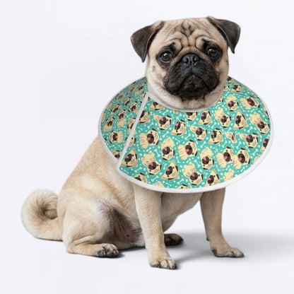 Charlie - Elizabethan Cone Collar Pug Fit