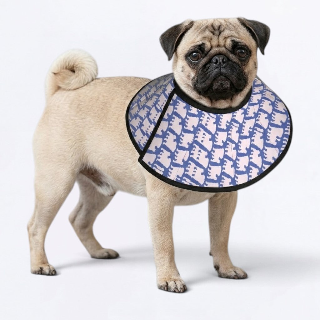 Jack - Elizabethan Cone Collar Pug Fit