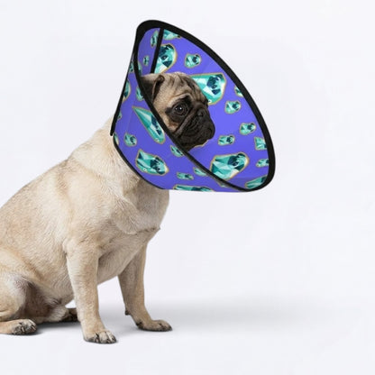 Daisy - Elizabethan Cone Collar Pug Fit