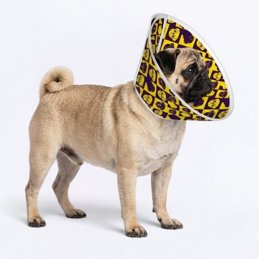 Mochi - Elizabethan Cone Collar Pug Fit