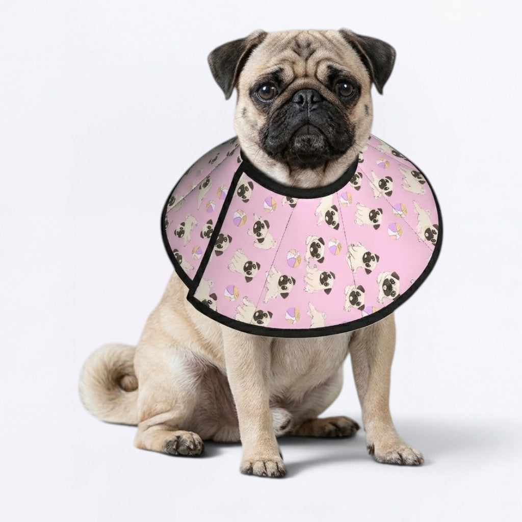Buster  - Elizabethan Cone Collar Pug Fit