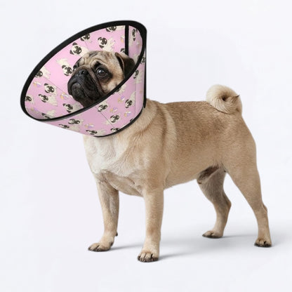 Buster  - Elizabethan Cone Collar Pug Fit