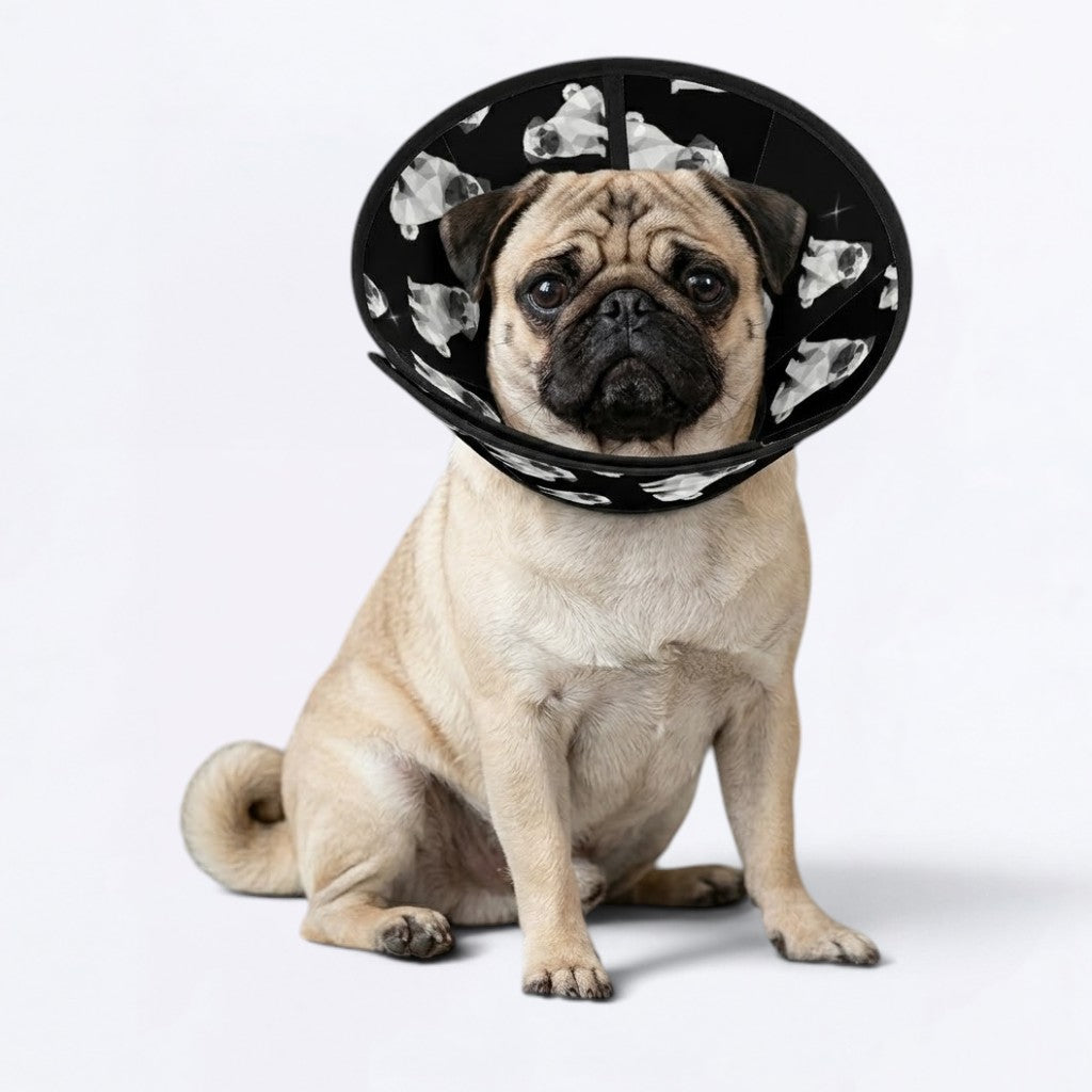 Max - Elizabethan Cone Collar Pug Fit