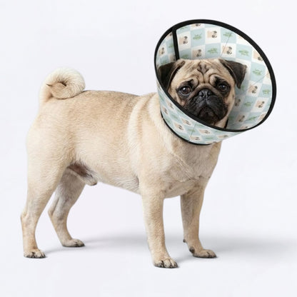 Bruno - Elizabethan Cone Collar Pug Fit