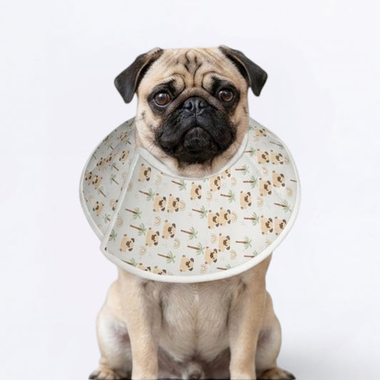 Stella  - Elizabethan Cone Collar Pug Fit