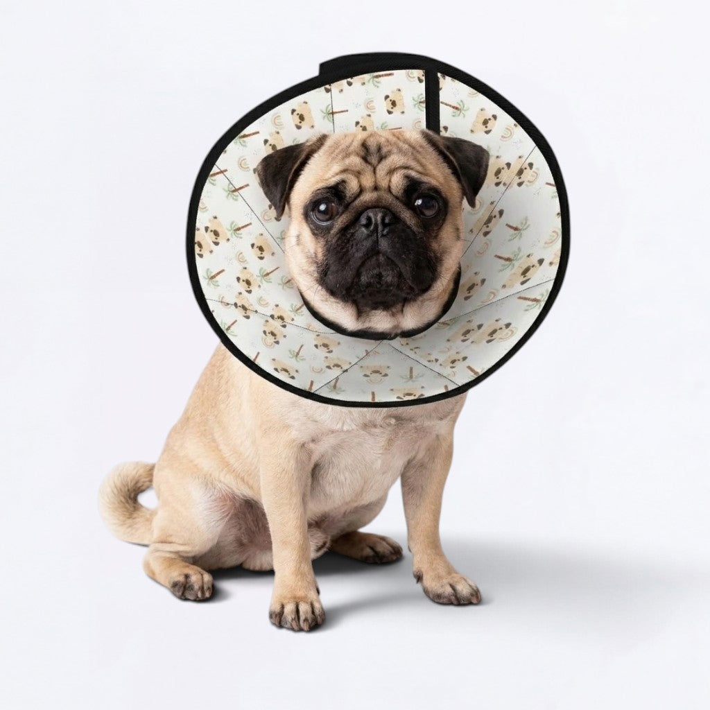 Stella  - Elizabethan Cone Collar Pug Fit